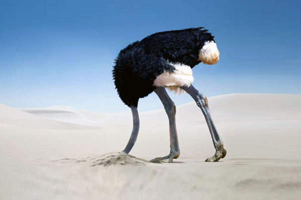 پرهیز از روش آستریخ در برخورد با معضلات